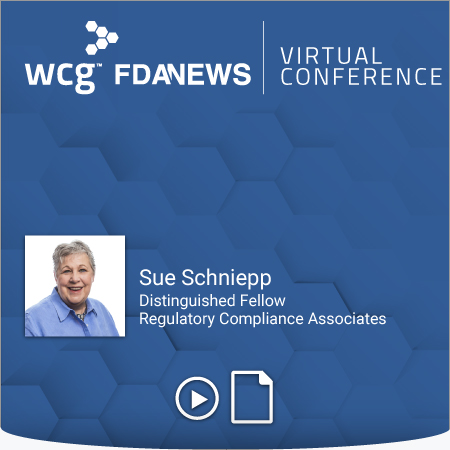 Sue Schniepp Virtual conference blue