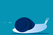Slow Progress, snail